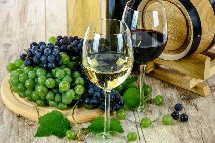 Les critères à suivre pour choisir le bon vin